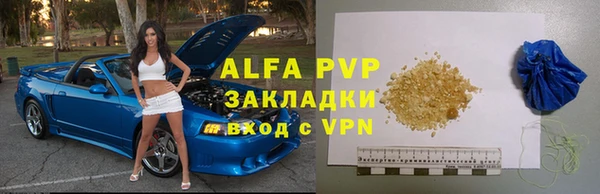 стаф Киселёвск
