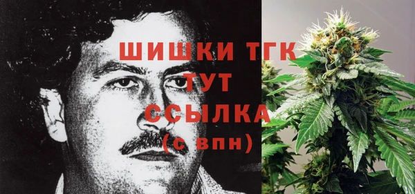 стаф Коряжма