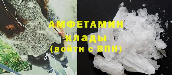 ГАЛЛЮЦИНОГЕННЫЕ ГРИБЫ Калач