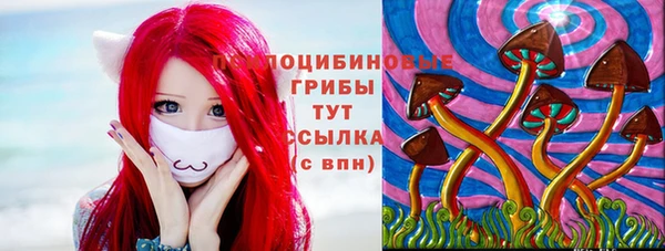 соль курить ск Кадников
