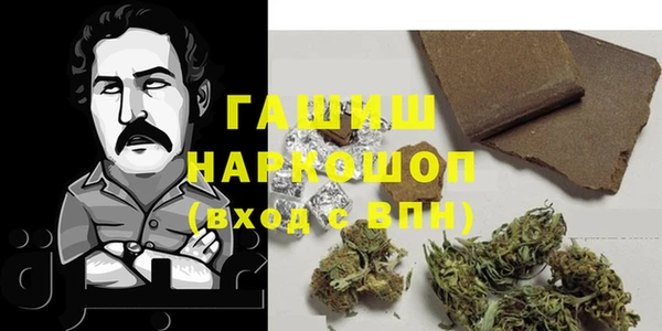 стафф Корсаков