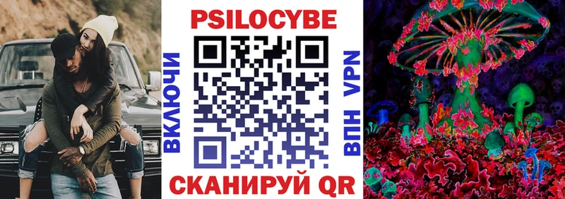 Галлюциногенные грибы Psilocybe  Каменка 